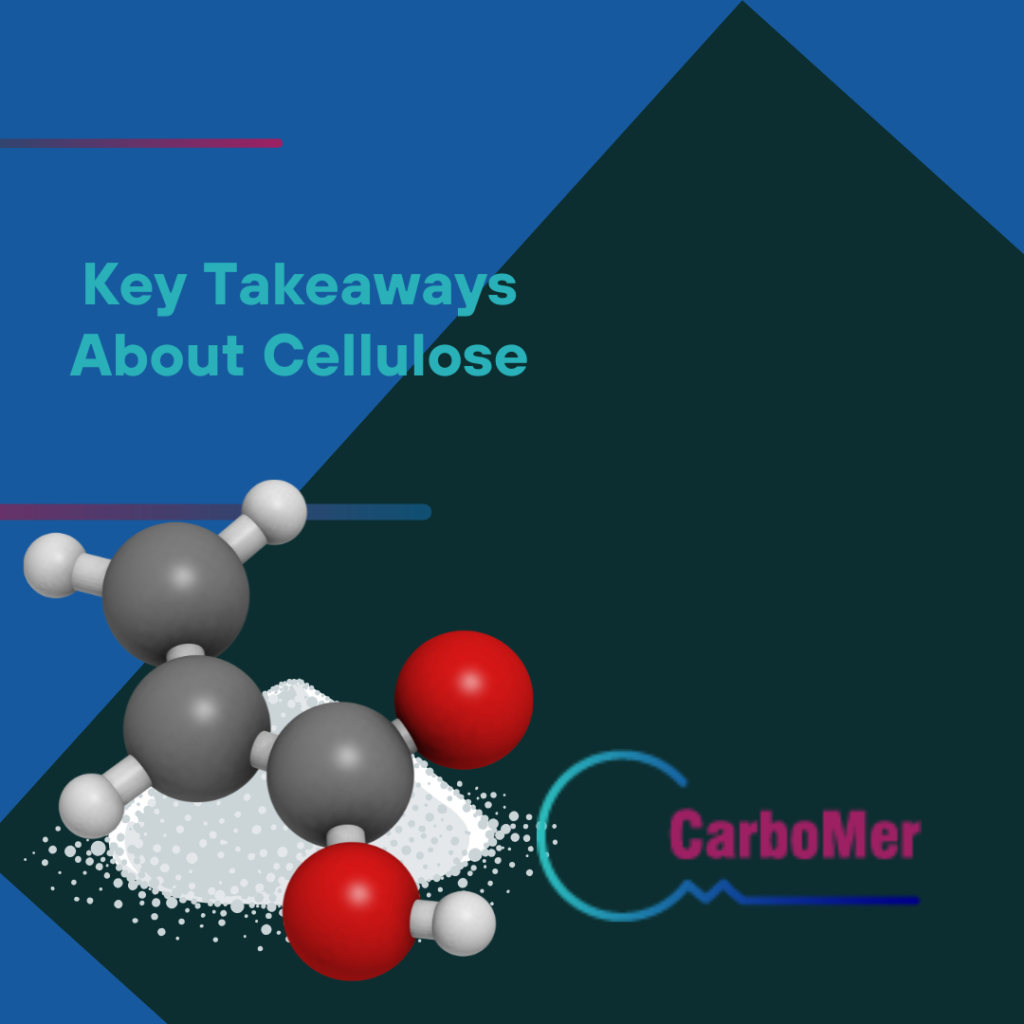 Key Takeaways About Cellulose